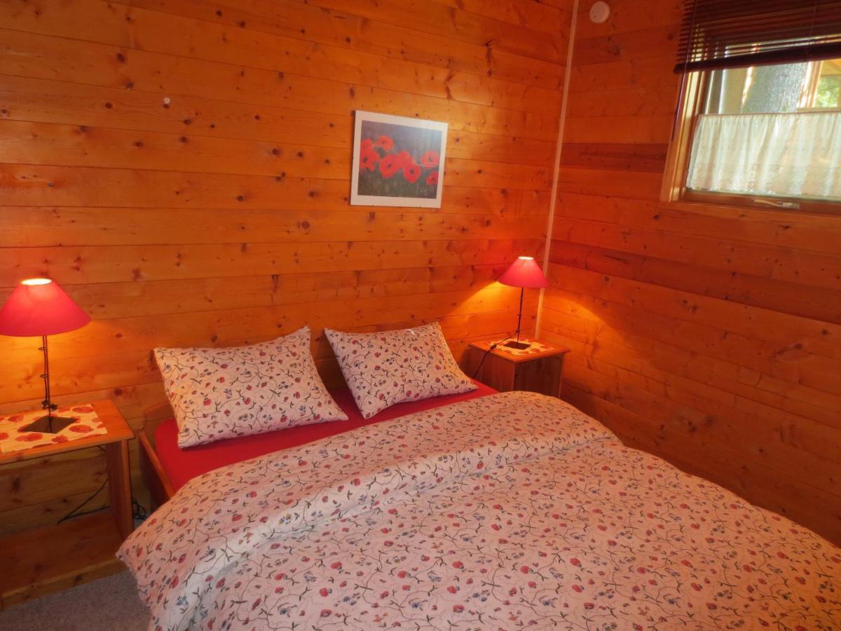 Blaeberry Mountain Lodge Golden Ruang foto